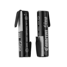 Remplacement de batterie compatible pour AAA 