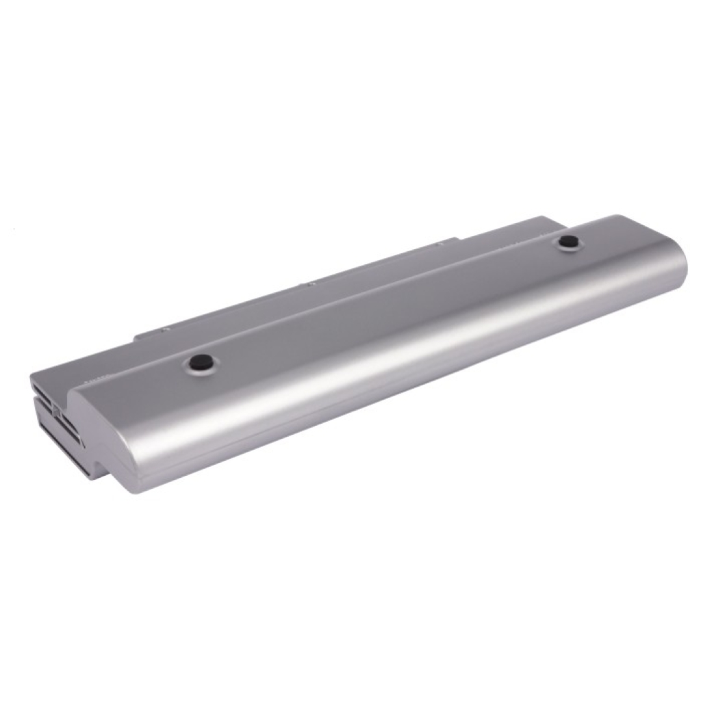 Batteries Remplace VGP-BPL9A