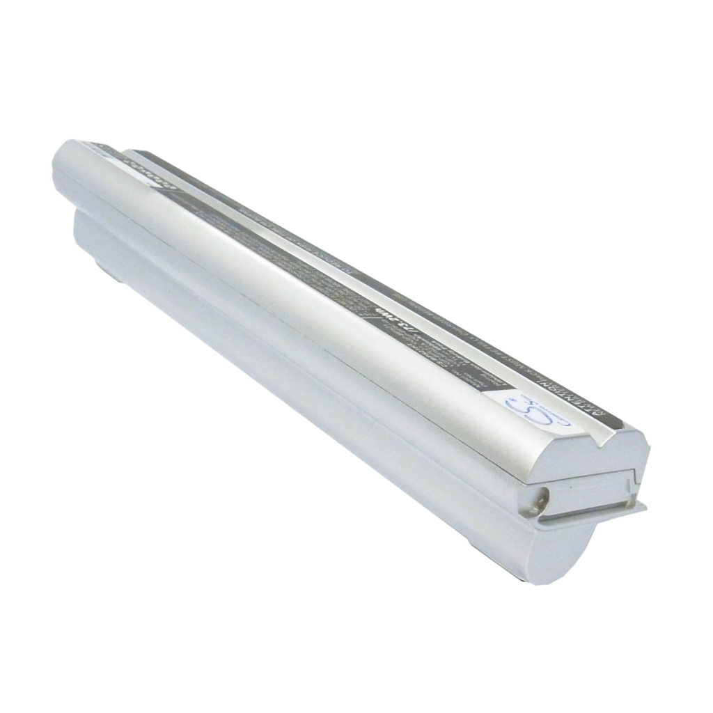 Batteries Remplace VGP-BP21A