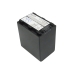 Batterie de l'appareil photo Sony HDR-UX5E