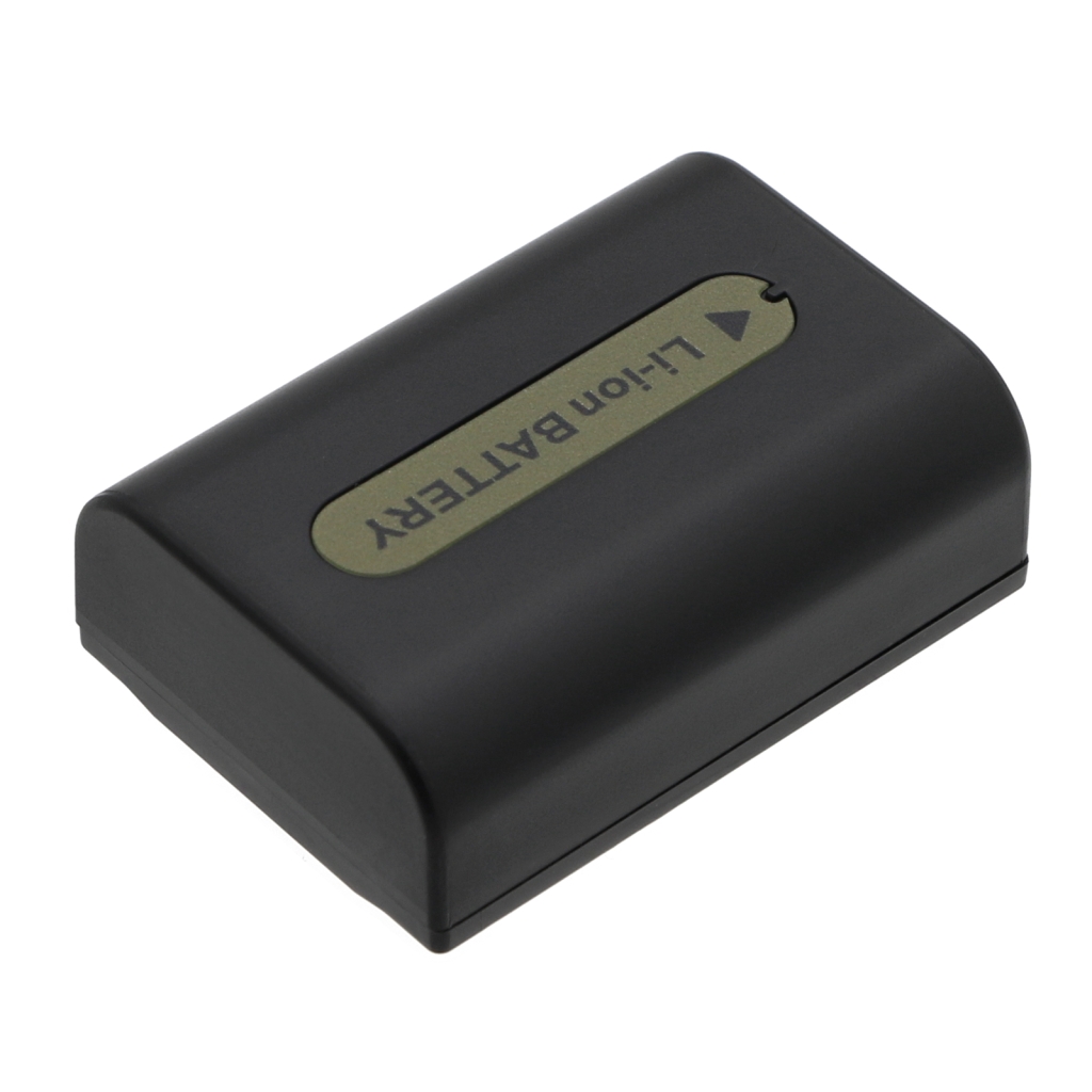Batterie de l'appareil photo Sony HDR-UX5E