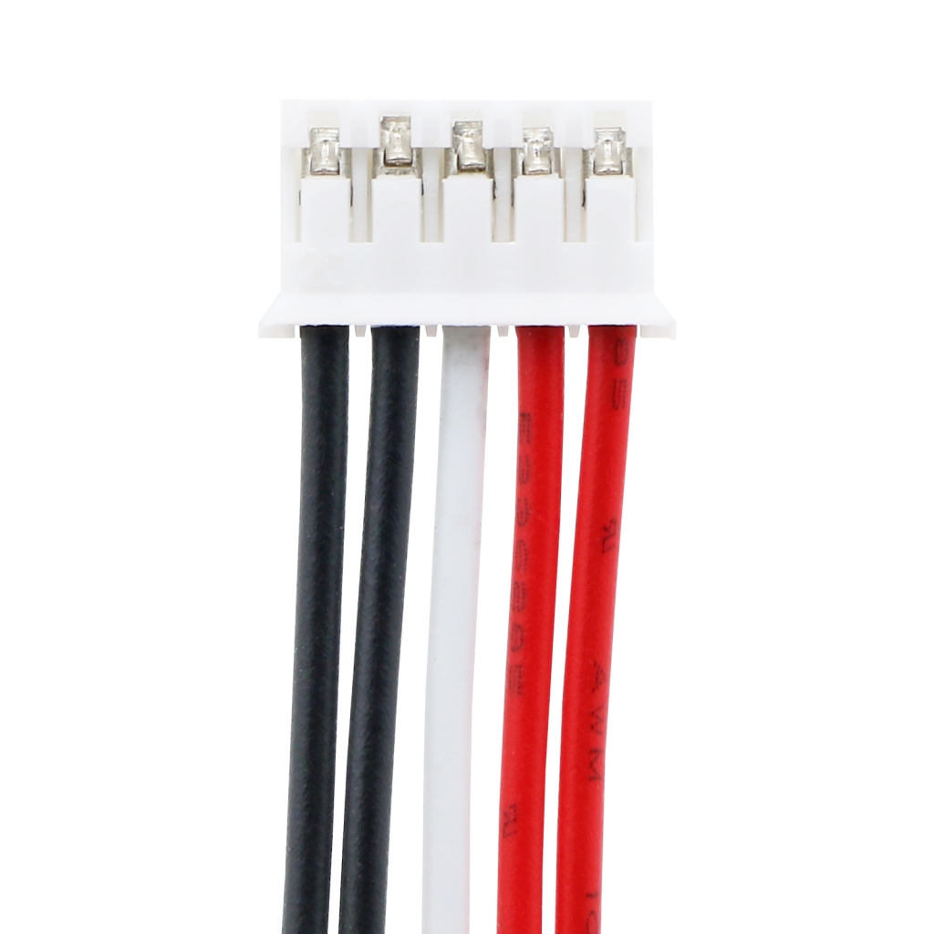 Outils électriques Batterie Fluke CS-FKP100SL