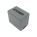 Batterie de l'appareil photo Sony DCR-HC30S