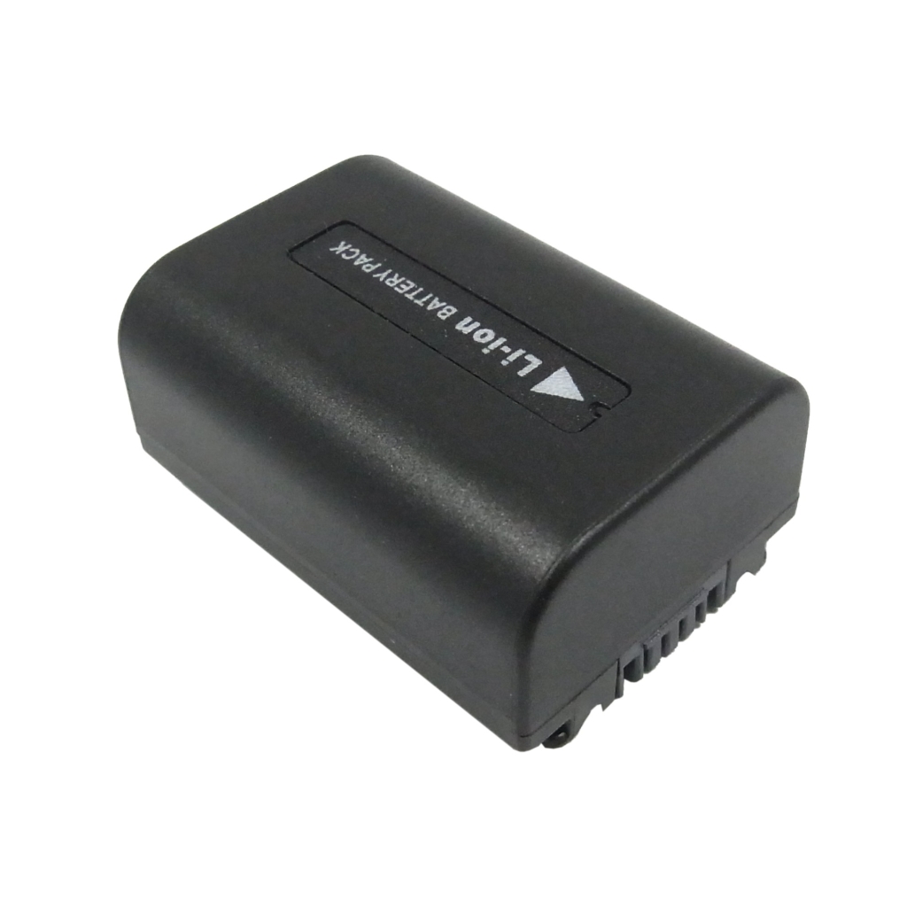 Batterie de l'appareil photo Sony HDR-UX5E