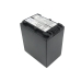 Batterie de l'appareil photo Sony DCR-SR300