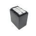 Batterie de l'appareil photo Sony DCR-SR100