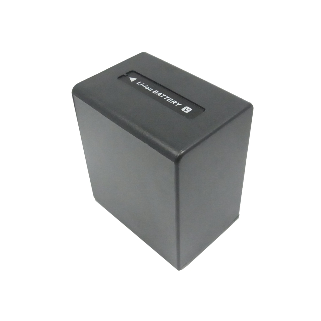 Batterie de l'appareil photo Sony DCR-SR100