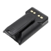 Batteries Remplace FNB-V134Li