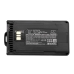 Batteries Remplace FNB-V134Li