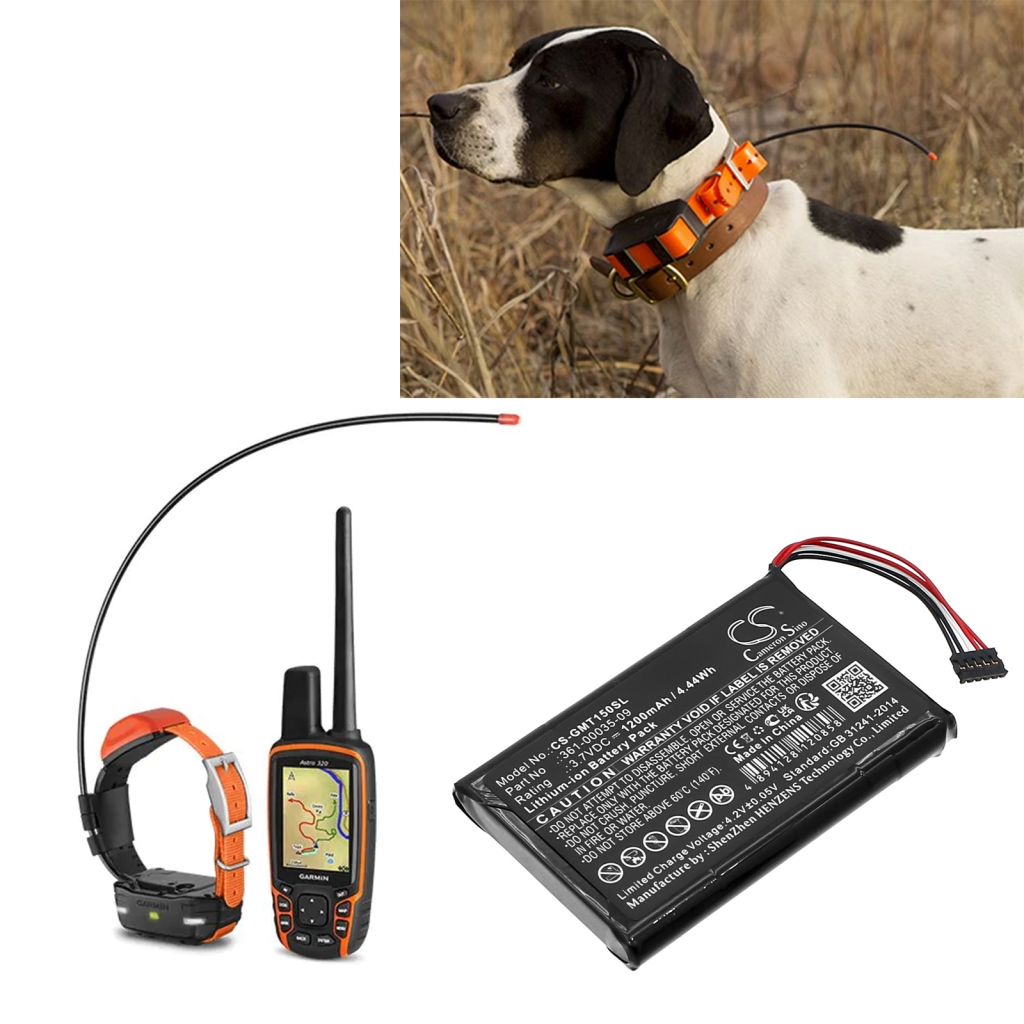 Garmin TT 15 mini