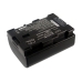 Batterie de l'appareil photo JVC GZ-EX265