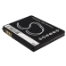 Batteries Remplace SBPL0098701