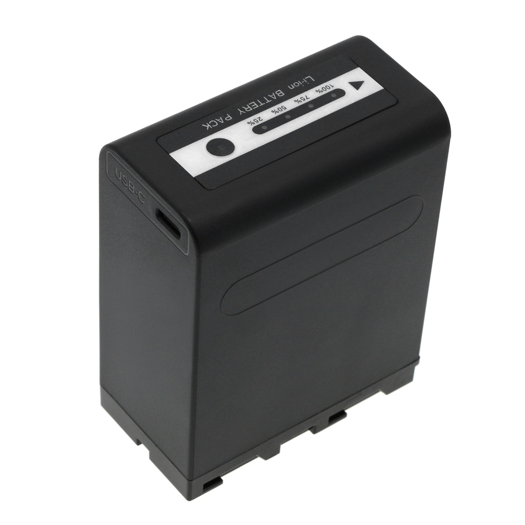 Batterie de l'appareil photo Sony CCD-TRV48