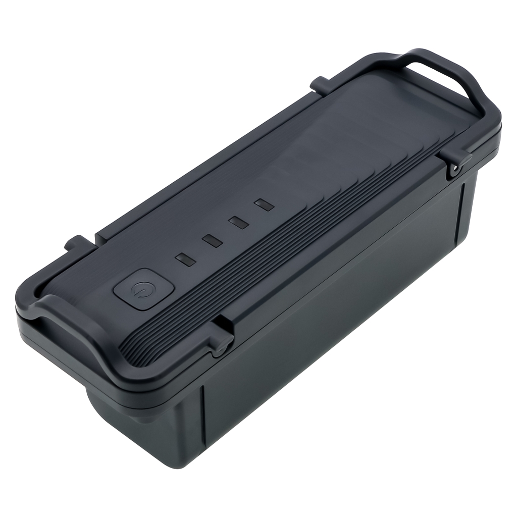Batterie Remplace PDOIB10