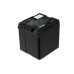 Batterie de l'appareil photo Panasonic PV-GS500