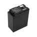 Batterie de l'appareil photo Panasonic HDC-SD700