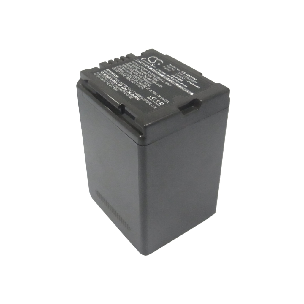 Batterie de l'appareil photo Panasonic HDC-SD600