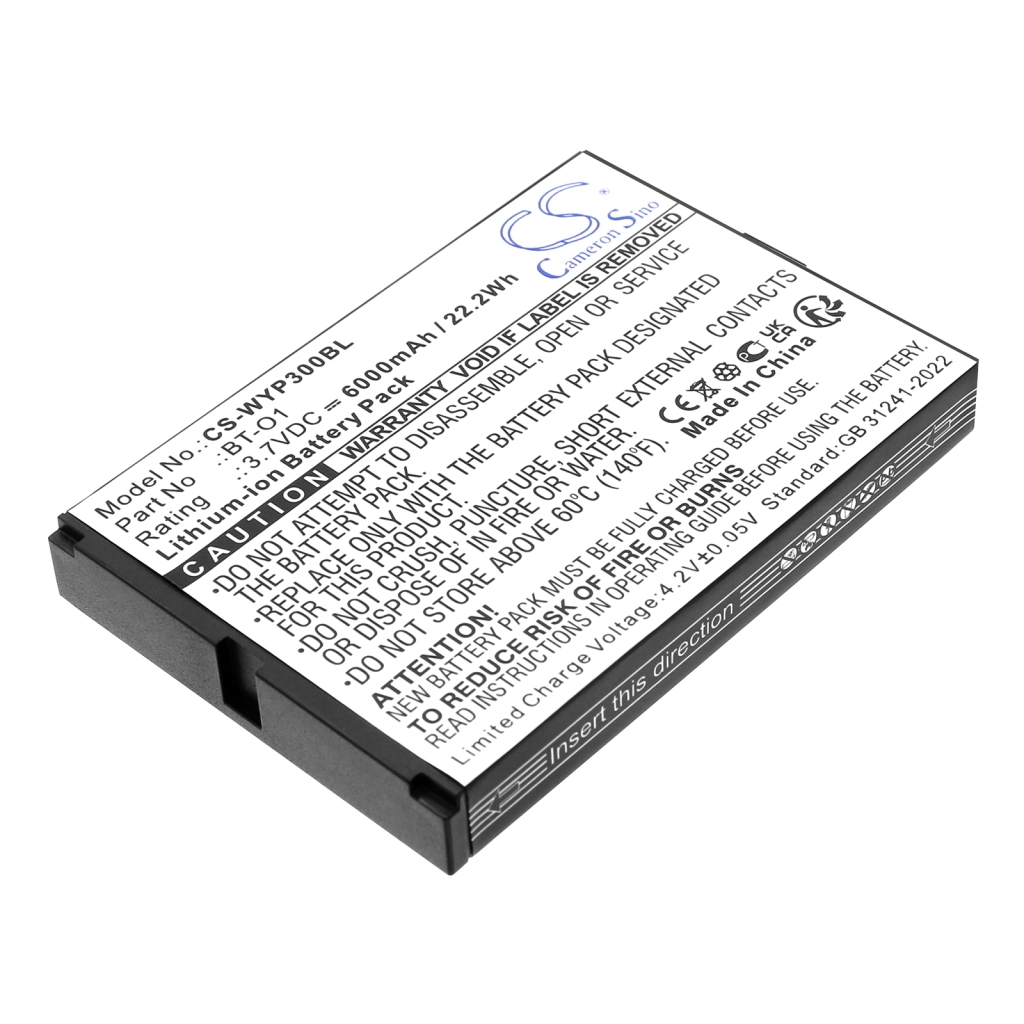 Wiseasy P3