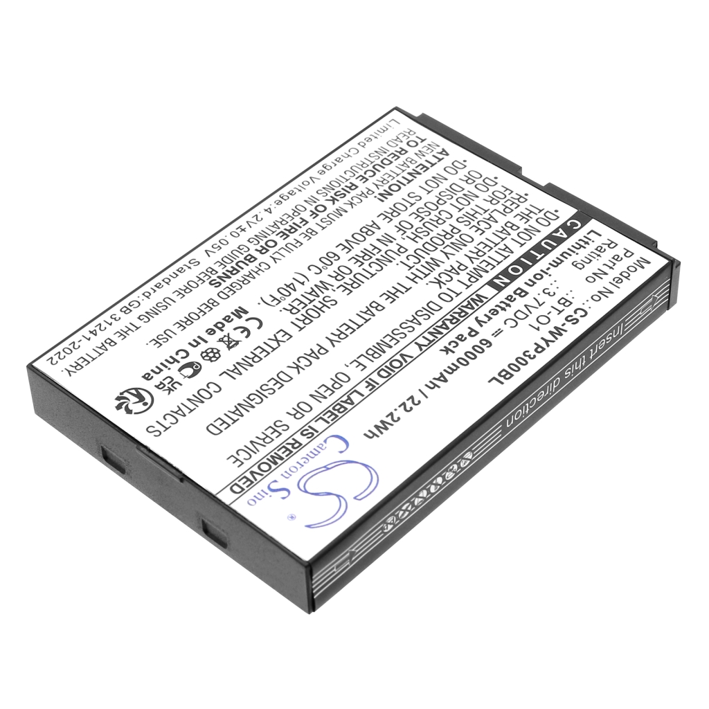 Wiseasy P3