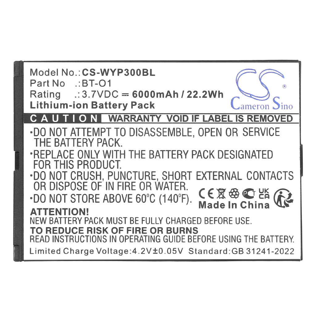 Wiseasy P3